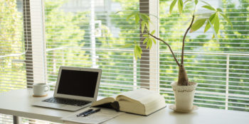 窓際・新緑・パソコン・研究